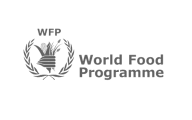 world food programme logo